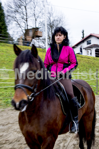 Pferdesegnung am Huehnerberg-7874