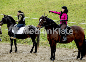 Pferdesegnung am Huehnerberg-7889