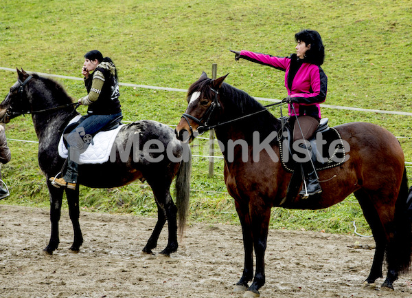 Pferdesegnung am Huehnerberg-7889