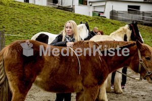 Pferdesegnung am Huehnerberg-7891