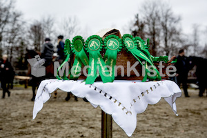 Pferdesegnung am Huehnerberg-7913