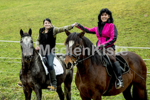 Pferdesegnung am Huehnerberg-7919