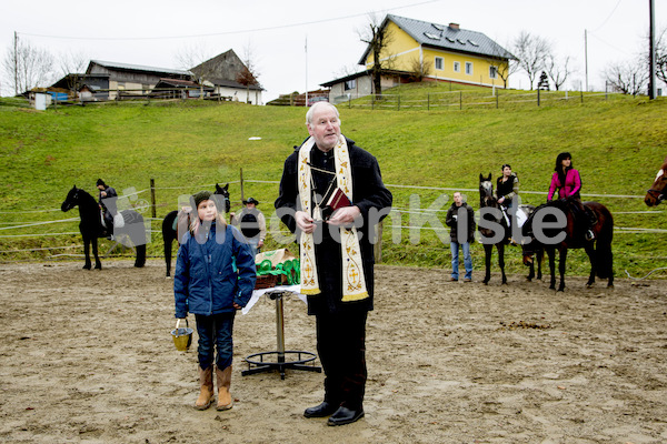 Pferdesegnung am Huehnerberg-7944