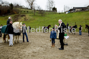 Pferdesegnung am Huehnerberg-7954