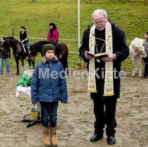 Pferdesegnung am Huehnerberg-7961