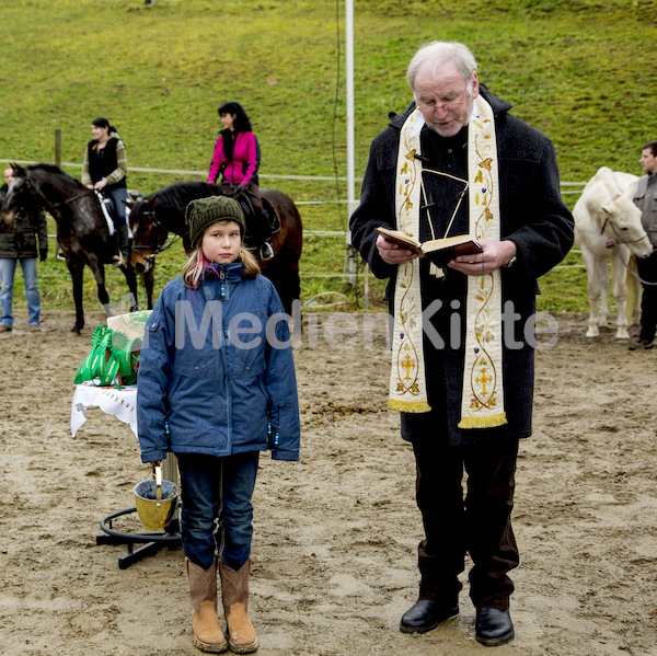 Pferdesegnung am Huehnerberg-7961