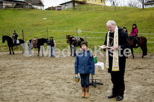 Pferdesegnung am Huehnerberg-7963