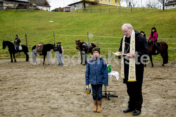 Pferdesegnung am Huehnerberg-7963