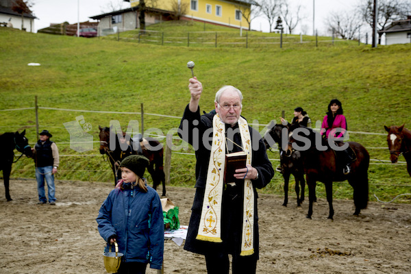 Pferdesegnung am Huehnerberg-7966