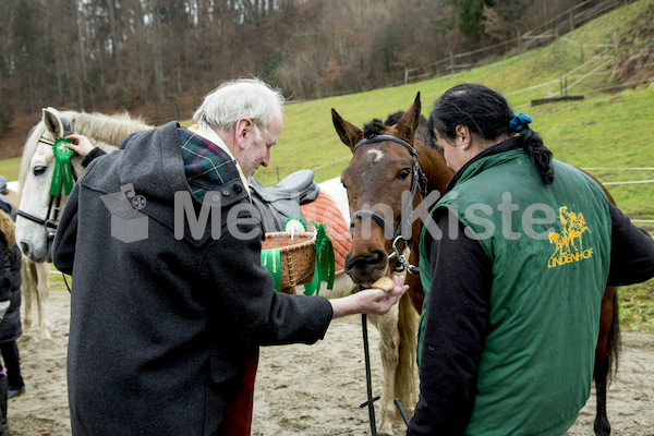 Pferdesegnung am Huehnerberg-8010