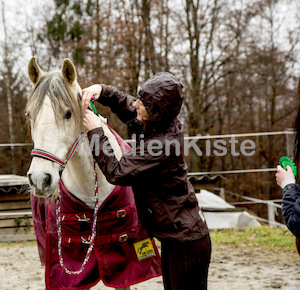 Pferdesegnung am Huehnerberg-8089