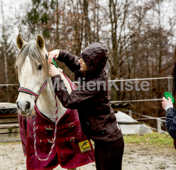 Pferdesegnung am Huehnerberg-8089