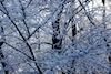Verkündschafter_Foto_Neuhold (8)